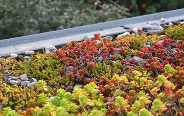 the cost of Westow green roof installation