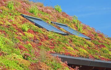 Westow living roof systems
